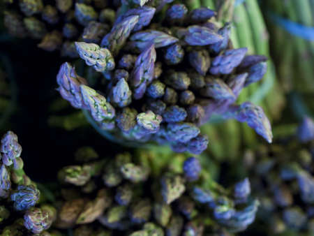 Fresh organic food at the local farmers market. Farmers markets are a traditional way of selling agricultural products.の写真素材