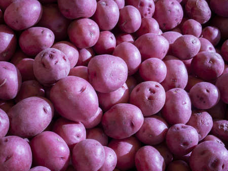 Fresh organic food at the local farmers market. Farmers markets are a traditional way of selling agricultural products.の写真素材