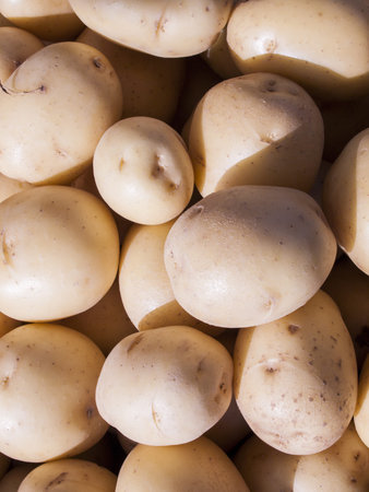 Fresh organic food at the local farmers market. Farmers markets are a traditional way of selling agricultural products.の写真素材