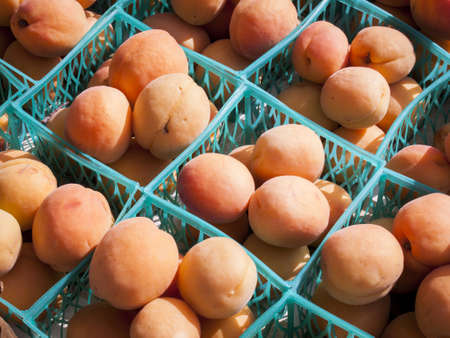 Fresh organic food at the local farmers market. Farmers markets are a traditional way of selling agricultural products.の写真素材