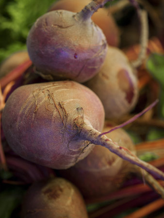 Fresh organic food at the local farmers market. Farmers markets are a traditional way of selling...