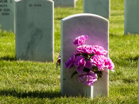 Endless row of white marble gravestones continues above hilltop at the Fort Logan National Cemetery in Denver, Colorado. American flags decorating each grave to mark the Memorial Day.のeditorial素材