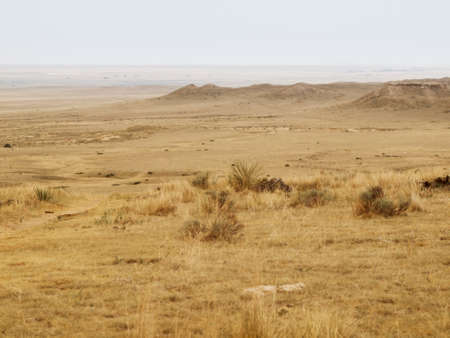 Horseback riders on a ranch in Colorado.のeditorial素材