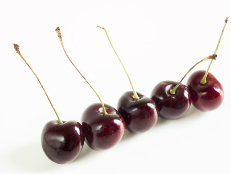 Row of freshly picked cherries on white background.の写真素材