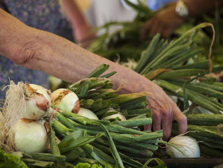 Fresh organic food at the local farmers market. Farmers markets are a traditional way of selling agricultural products.の写真素材