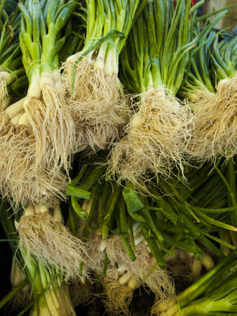 Fresh organic food at the local farmers market. Farmers markets are a traditional way of selling agricultural products.の写真素材