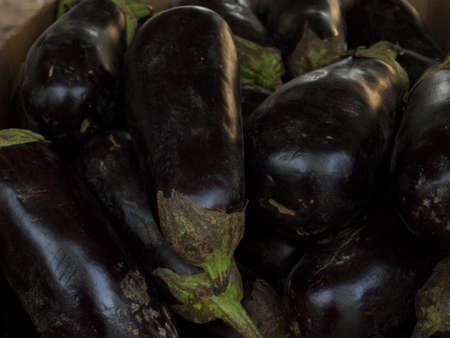 Eggplant at the local farmer's market.の素材 [FY31014807544]