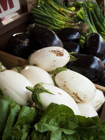 Eggplant at the local farmer's market.の写真素材