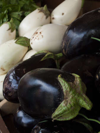 Eggplant at the local farmer's market.の写真素材