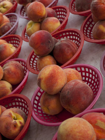 Orange peaches at the local farmer's market.
