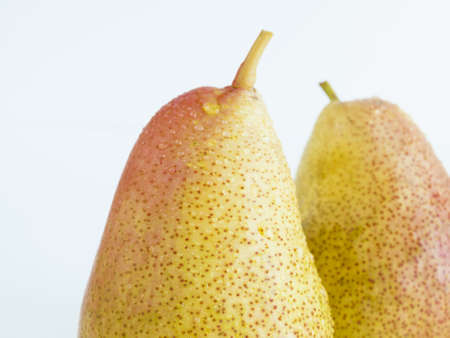 Ripe pear on white background. The cultivation of the pear in cool temperate climates extends to the remotest antiquity, and there is evidence of its use as a food since prehistoric times.の写真素材