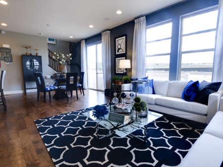 Modern living room with couch and coffee table.のeditorial素材