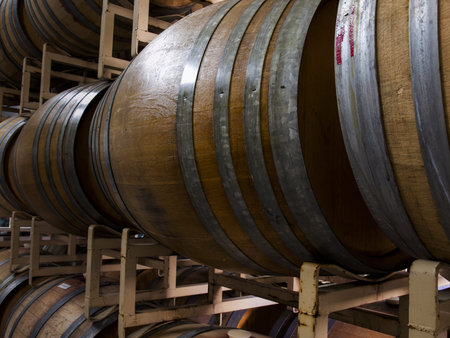 Wine barrels stacked in cellar area of vinery in Palosade, Colorado.