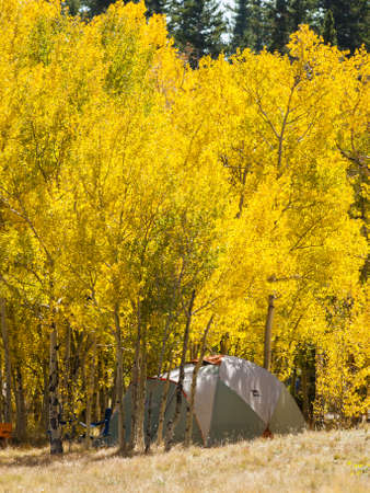 The last camping trip of the season on Boreas Pass, Colorado.のeditorial素材