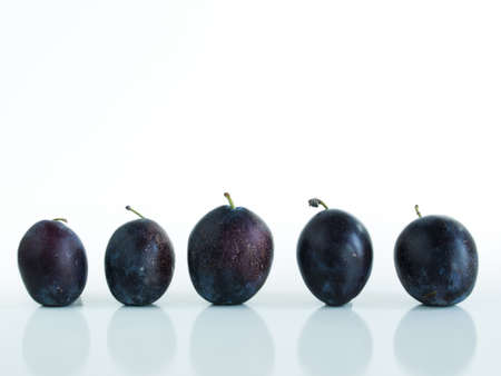 Fresh plums in a row on white background.の写真素材