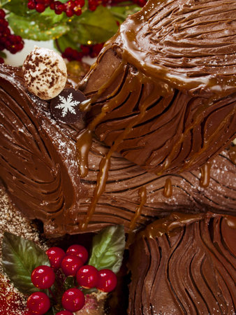 Traditional Christmas Yule Log cake decorated with marzipan mushrooms.の写真素材