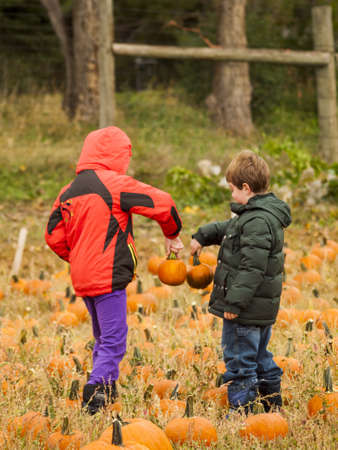 Little kids picking pumpkind at the pumpkin patch in aearly Autumn. 2012 Pumpkin Harvest Festival at Four Mile Historic Park, Denver.のeditorial素材