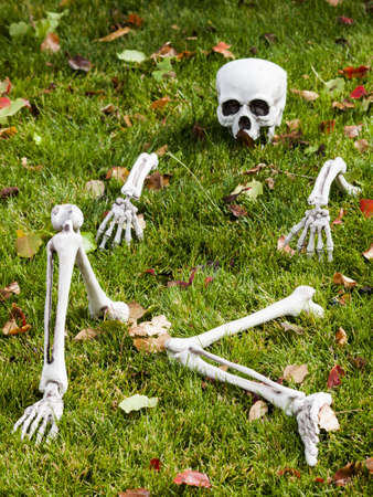 Halloween decorations in the front yard of a house on Halloween.の写真素材