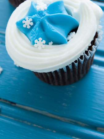 Gourmet chocolate cupcakes with white and blue icing.