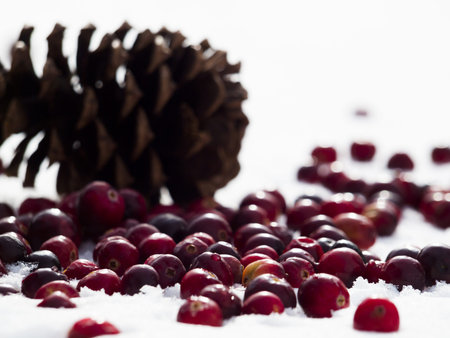 Christmas ornament in the snow with  cranberries.