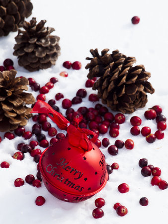 Christmas ornament in the snow  cranberries.の写真素材
