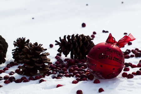 Christmas ornament in the snow  cranberries.の写真素材