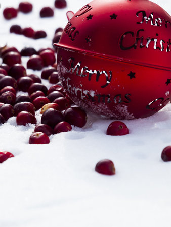 Christmas ornament in the snow  cranberries.の写真素材