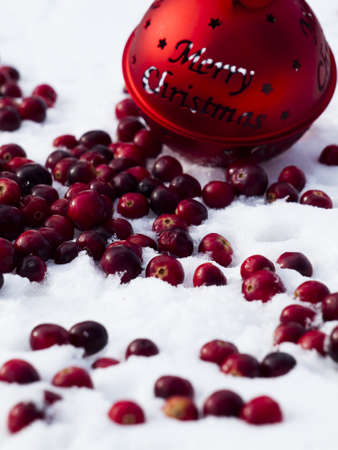 Christmas ornament in the snow  cranberries.の写真素材