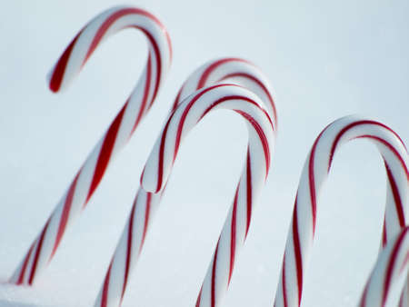 Traditional holiday candy candy cane in snow.の写真素材