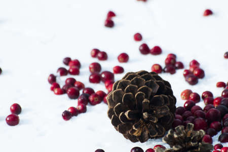 Christmas ornament in the snow with  cranberries.の写真素材