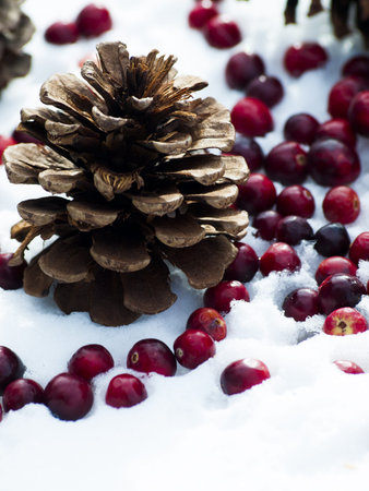 Christmas ornament in the snow with  cranberries.の写真素材