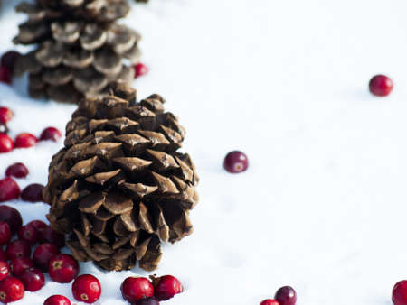 Christmas ornament in the snow with  cranberries.の写真素材