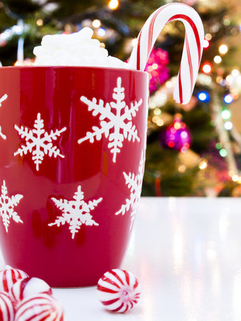 Hot chocolate and perppermint cane with Christmas tree in the backgound.の写真素材
