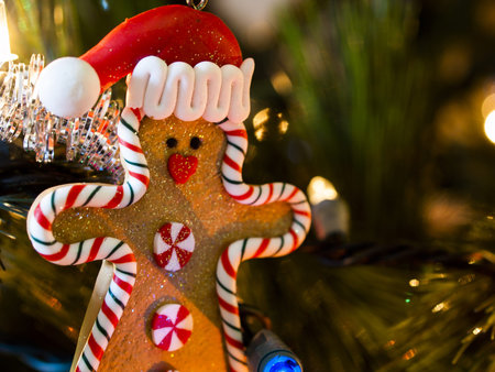 Gingerbread man ornament on Christmas tree.の写真素材