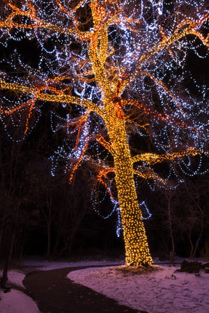 Historic farm decorated with Christmas lights.