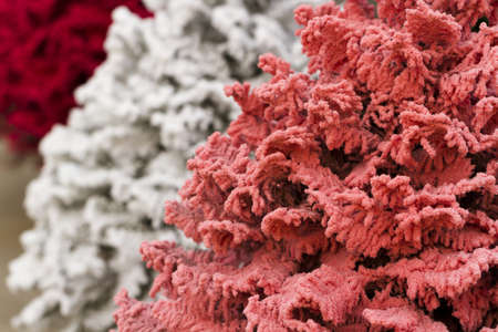 Flocked Christmas Tree with multi colors.の写真素材