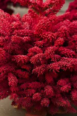 Flocked Christmas Tree with multi colors.