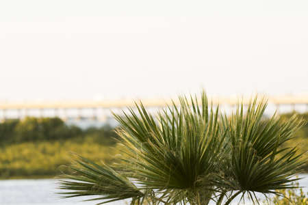South Padre Island in the winter.の写真素材