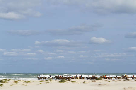 Horeback riding on the beach of South Padre Island, TX.のeditorial素材