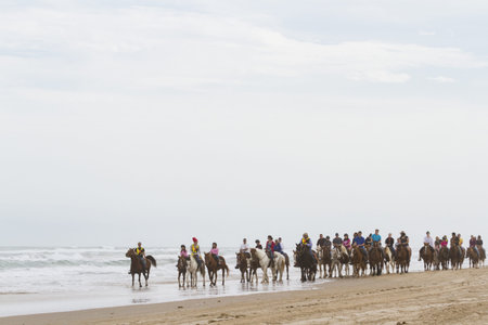 Horeseback riding on the beach of South Padre Island, TX.