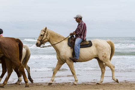 Horeseback riding on the beach of South Padre Island, TX.