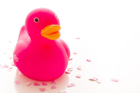 Pink rubber duckling on white backgound.のeditorial素材