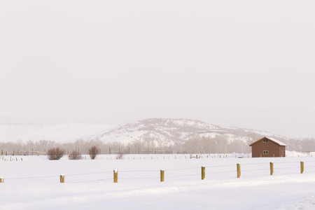 Winter farm in Steamboat Springs, Colorado.のeditorial素材