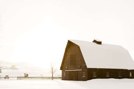 Winter farm in Steamboat Springs, Colorado のeditorial素材