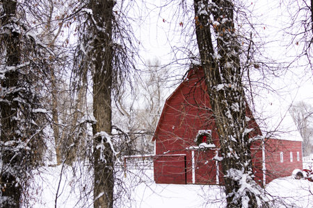 Red barn in snow on the farm in Colorado.のeditorial素材