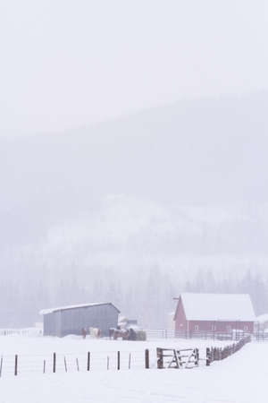 Winter on rural farm in Colorado.のeditorial素材