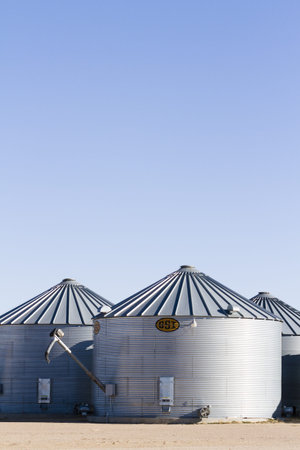 Row of grain silos in a small town.