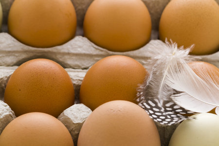 Fresh eggs delivered from the local farm.