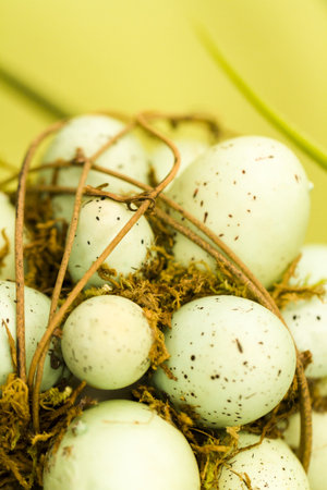 Painted easter eggs in bouquet.