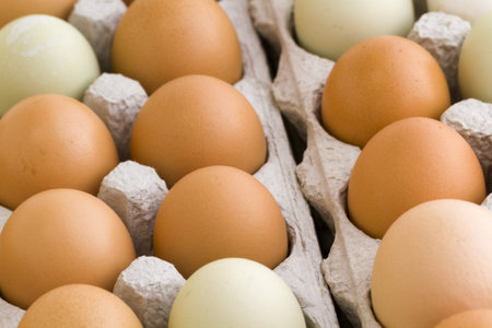 Fresh eggs delivered from the local farm.
